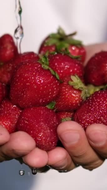 Slow Motion Video Pile Delicious Juicy Strawberries Mans Hand Which — Stock Video