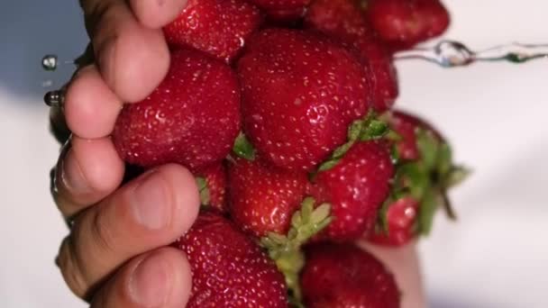 Vídeo Cámara Lenta Una Pila Deliciosas Fresas Jugosas Una Mano — Vídeos de Stock