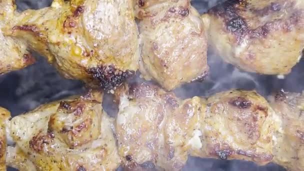 Готовлю Сочный Шашлык Свининой Гриле Шашлык Обработанного Мяса Приготовленного Огне — стоковое видео