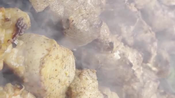 Kebab Porc Rôti Sur Feu Plein Air Cuire Viande Feu — Video