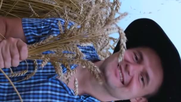Joven Sonriente Sostiene Espigas Maíz Fondo Campo Trigo Agricultor Agrónomo — Vídeos de Stock