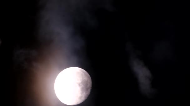 Full Moon Dark Night Sky Vertical Video — Stock Video