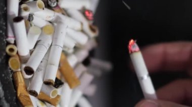 A mans hand presses a cigarette butt. A large number of cigarettes. Harmful habits for health. Vertical video