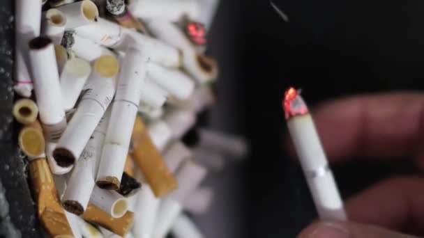 Mans Hand Presses Cigarette Butt Large Number Cigarettes Harmful Habits — Stockvideo