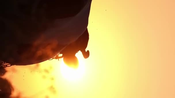 Неймовірно Красиве Відео Силуету Корови Стоїть Тлі Заходу Сонця Тварини — стокове відео