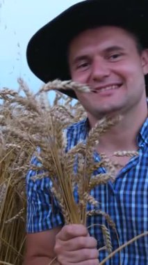 Gülümseyen genç bir adam buğday tarlasının arka planında mısır kulakları tutuyor. Mutlu bir tarım çiftçisi verimli bir hasat alabilmek için ekinleriyle ilgilenir. Dikey video