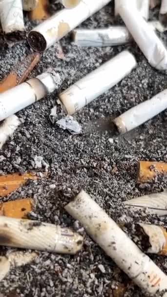 Velká Hromada Cigaretových Nedopalků Sociální Video Svislé Video — Stock video