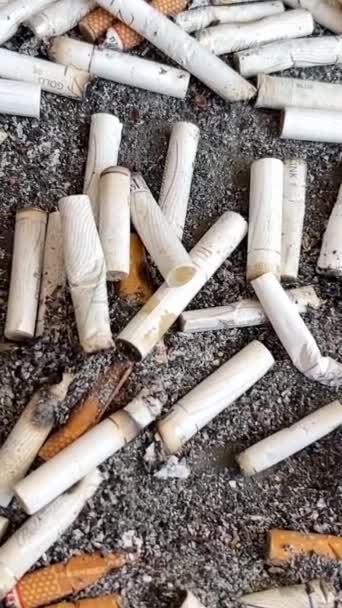Cigarette Butts Ashtray Bad Habits Smoking Cigarettes Vertical Video — Stock Video