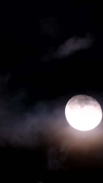 Vollmond Dunklen Nachthimmel Vertikales Video — Stockvideo