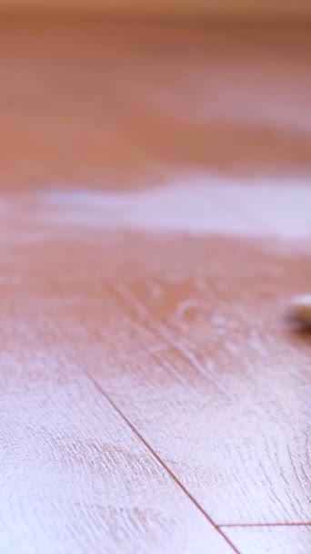 Eine Frau Putzt Den Holzboden Wohnzimmer Mit Einem Wischmopp Nassbodenreinigung — Stockvideo