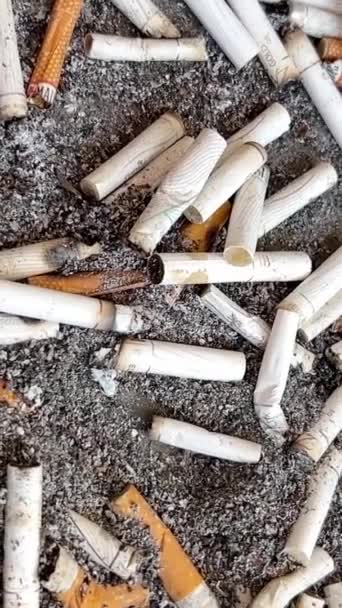 Hamutartóban Szétszórt Füstölt Cigaretták Háttere Körbe Forog Dohányzás Káros Lehet — Stock videók