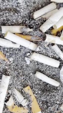 Kül tablasına yayılmış büyük bir sigara ve kül yığını. Sağlığa zararlı. Sigara içmek sağlığınız için zararlı olabilir. Çevreye yazık. Dikey video