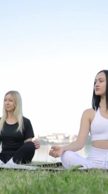 Genç kadınlar sabah şehrin dışındaki güneşli bir parkta meditasyon yapıyorlar. Nilüfer pozisyonunda meditasyon. Yoga çalışıyorum. Dikey video