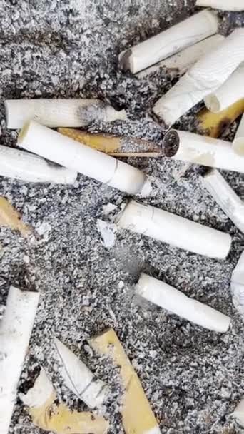 Пепельнице Разбросана Большая Куча Копченых Сигарет Пепла Вредно Здоровья Курение — стоковое видео