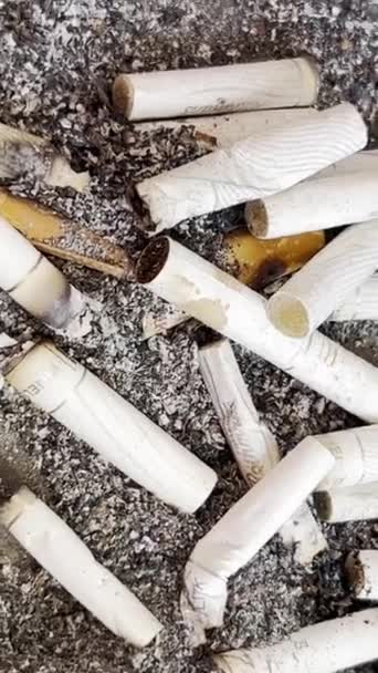 Contaminación Ambiental Con Colillas Cigarrillos Fumar Daña Salud Depresión Una — Vídeos de Stock