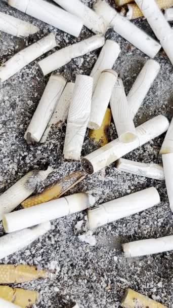 Fumer Tue Tas Cigarettes Fumées Arrête Fumer Mal Fumer Puissance — Video