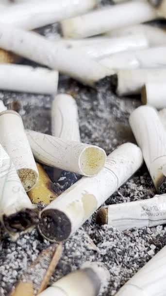 Macro Video Pile Broken Cigarettes Quit Smoking Concept Harm Smoking — Stock Video
