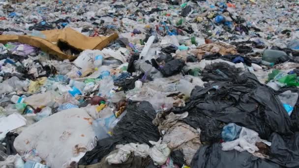 Umweltkatastrophe Giftmüll Der Natur Plastikmülldeponie Nahaufnahme — Stockvideo