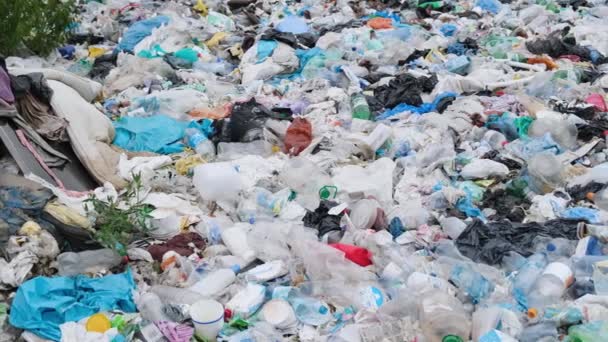 Plastic Flessen Aan Kust Plastic Zakken Onzin Ecologische Ramp Red — Stockvideo