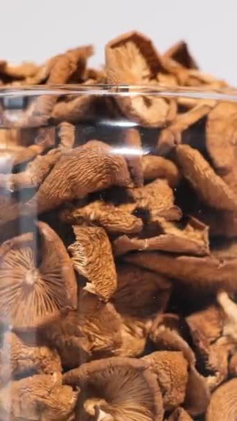 동그라미에서 버섯의 항아리의 클로즈업 건조한 비디오 — 비디오