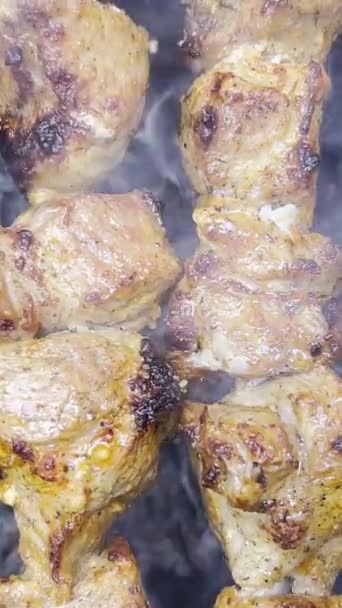 Cocinar Jugoso Kebab Cerdo Parrilla Shish Kebab Carne Procesada Cocinada — Vídeo de stock
