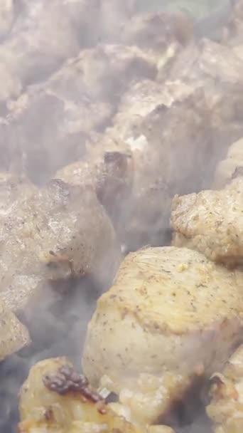 猪肉什锦烤面包 在露天的火堆上烤 烤肉生火 垂直录像 — 图库视频影像
