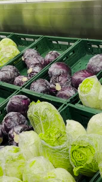 Olika Typer Kål Grönsaksmarknaden Begreppet Ekologiskt Rena Grönsaker Färska Grönsaker — Stockvideo