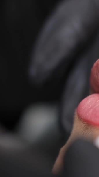Tato Bibir Dengan Pewarnaan Khusus Pigmen Merah Untuk Koreksi Warna — Stok Video