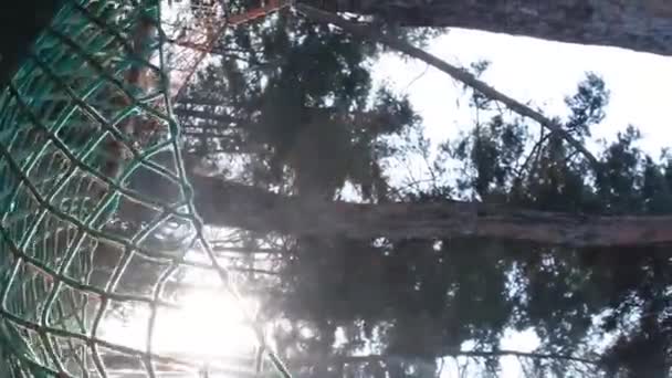 Güneş Işınlarının Arka Planında Güzel Bir Hamak Sallanıyor Çadır Şehirde — Stok video