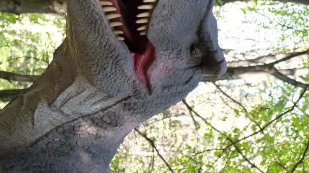 Powiększenie Obrazu Głowy Strasznego Dinozaura Dużymi Zębami Wycieczka Parku Dinozaurów — Wideo stockowe