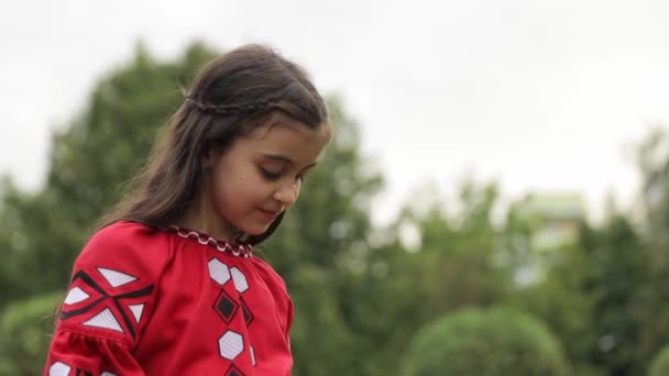 美しい赤い刺繍のドレスを着た小さなウクライナの少女が緑の公園を歩いている ウクライナの子供たち — ストック動画