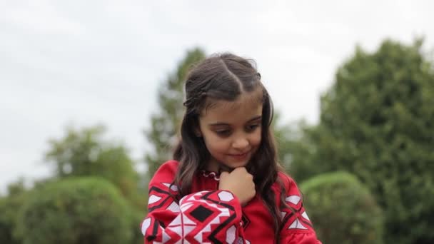 Ουκρανή Κοπέλα Παραδοσιακό Εθνικό Φόρεμα Της Vyshyvanka Ουκρανικά Παιδιά — Αρχείο Βίντεο