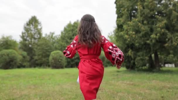 Little Ukrainian Girl Beautiful Red Embroidered Dress Walking Green Park — Stock Video