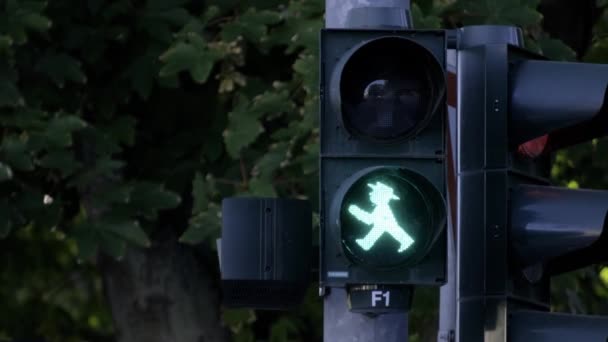Ett Trafikljus Lyser Grönt Ljus För Fotgängare Mörk Bakgrund Träd — Stockvideo