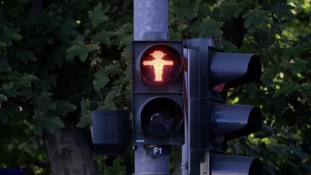 Червоне Світло Світло Трафіку Пішоходів Вночі Крупним Планом — стокове відео