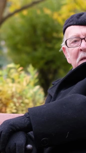 Bătrân Înțelept Stă Bancă Într Parc Toamnă Spune Ceva Vârstnici — Videoclip de stoc