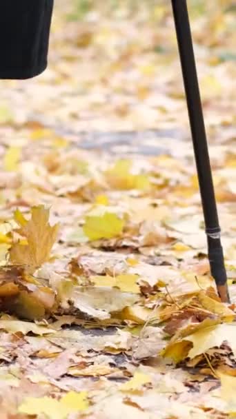 지팡이를 할아버지는 카펫에 공원에서 시즌의 아름다움 비디오 — 비디오