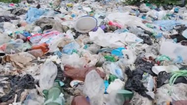 Plaj boş, kirli plastik şişeler ve çeşitli kimyasal atıklarla dolu. Okyanus kirliliğinin şiddetli sorununu vurguluyorlar. Çevre felaketi. Dikey video