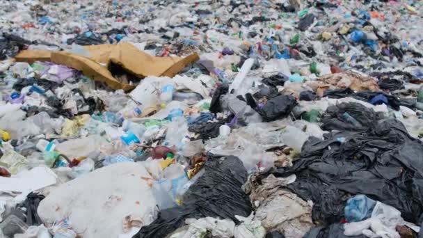 Vertido Residuos Plásticos Con Grandes Residuos Plásticos Desastre Ecológico Residuos — Vídeos de Stock