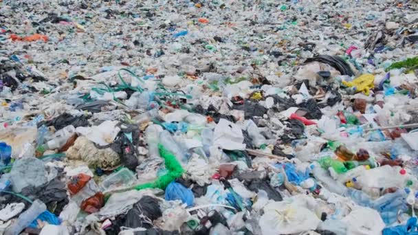 Video Bakgrund Med Plastavfall Från Plastflaskor Problemet Med Ekologi — Stockvideo