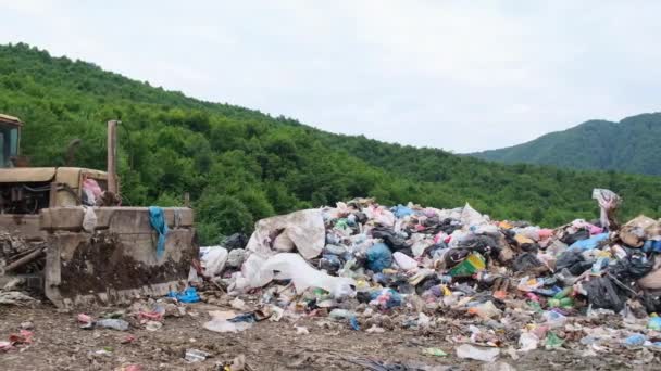 Plastik Atık Deposu Ekolojik Felaket Doğanın Ortasında Zehirli Atık Doğanın — Stok video