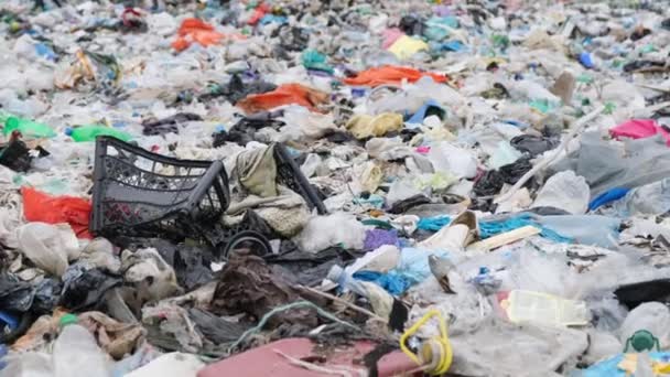바다는 플라스틱 쓰레기로 오염됩니다 폐기물 플라스틱으로 지구의 비디오 — 비디오