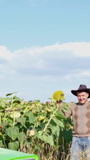 Trabajador Americano Baila Campo Girasol Agricultura Naturaleza Feliz Granjero Vídeo — Vídeos de Stock