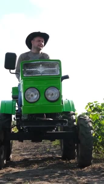 ハンサムな農夫は カーラントブッシュで畑を横切るトラクターを運転します 農地のローブでさえ カーラントブッシュ 成長するベリー アグリビジネス バーティカルビデオ — ストック動画