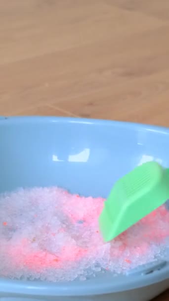 Ροζ Γέμισμα Για Σκουπίδια Γάτας Μια Γυναίκα Καθαρίζει Ένα Δίσκο — Αρχείο Βίντεο