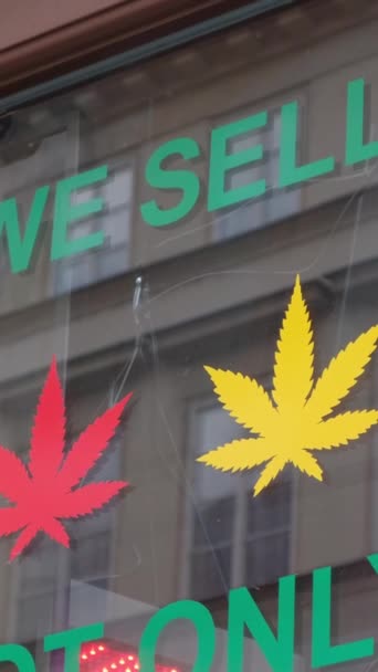 Obchod Konopnými Výrobky Lékařská Marihuana Evropě Povolena Svislé Video — Stock video