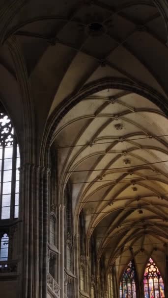 Prag Daki Vitus Gotik Katedrali Dikey Video — Stok video