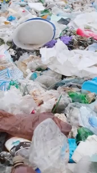 Пляж Засипаний Порожніми Брудними Пластиковими Пляшками Різними Хімічними Відходами Висвітлює — стокове відео