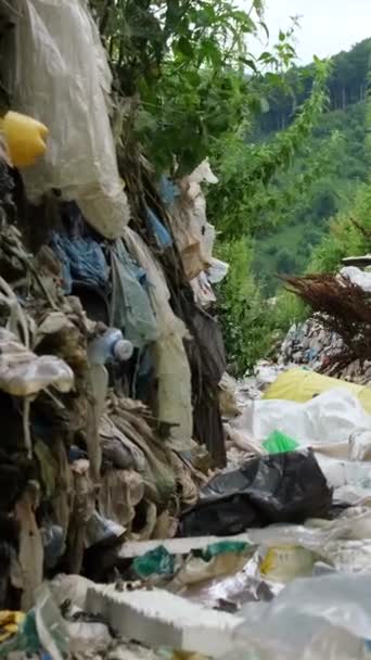 Забруднені Висушені Річки Пластиковими Відходами Ілюструють Концепцію Забруднення Навколишнього Середовища — стокове відео