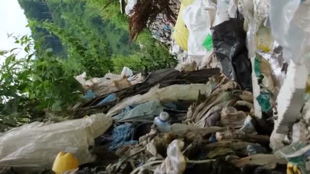 汚染され プラスチック廃棄物で川を乾燥させ 環境汚染と災害の概念を示しています ゴミの山々は 自然のための生態学的な災害を象徴しています バーティカルビデオ — ストック動画
